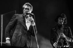 Bryan Ferry