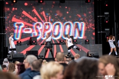 T-Spoon