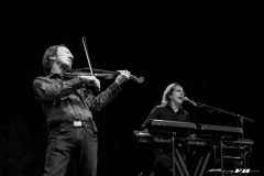 The Orchestra