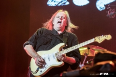 Walter Trout